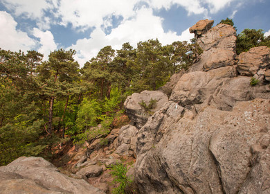 Die Teutoschleife Dörenther Klippen führt an dem Felsen Hockendes Weib vorbei. 