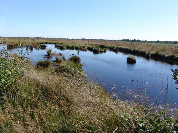 Im Naturschutzgebiet Recker Moor