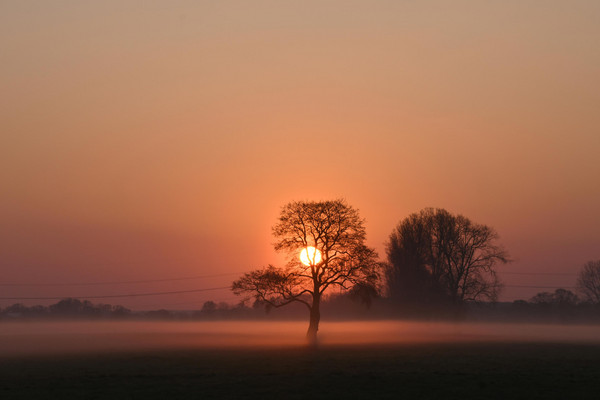 Sonnenuntergang in der Düsterdieker Niederung