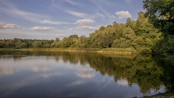 Niedringhaussee in Lotte