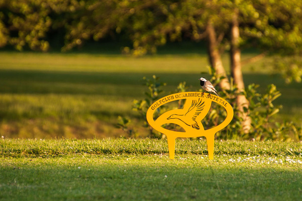 Golfclub Dütetal Golfplatz Tecklenburger Land