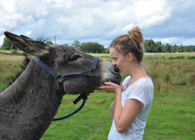 Mädchen küsst ein Esel