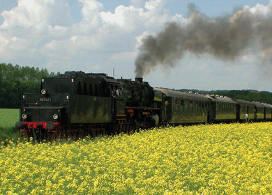 Historische Dampflok 50 3655 im gelben Rapsfeld