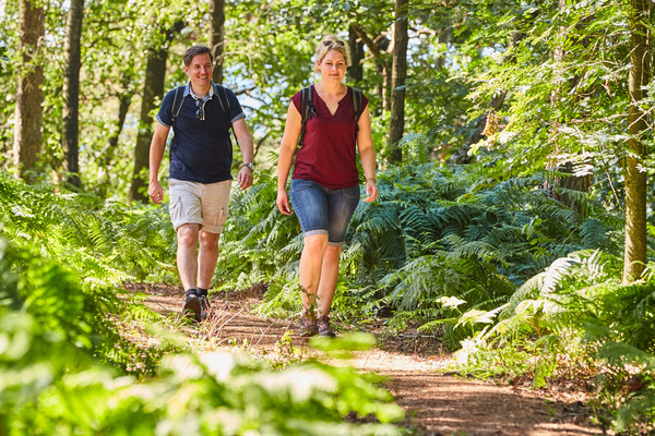 Zwei Wanderer im Wald