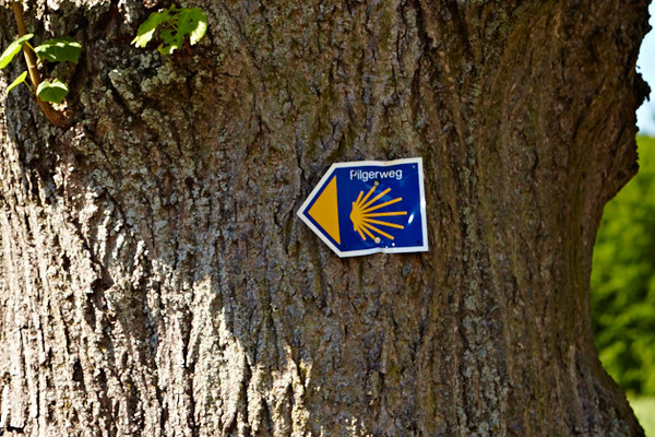 Das blaue Schild mit der Muschel zeigt, hier gehts weiter auf dem Jacobsweg.